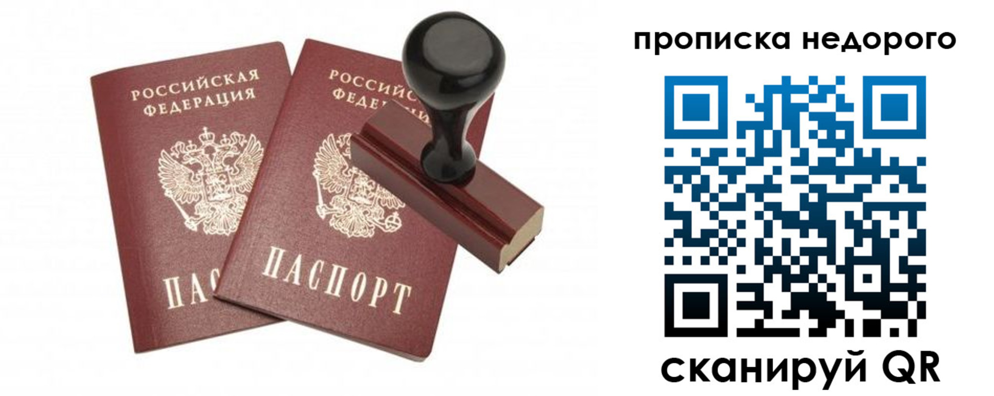 прописка в квартире в Пионерском